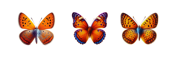 Set of Colorful butterfly, isolated over on transparent white background