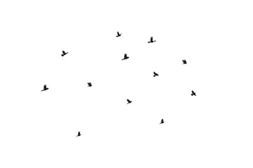 Flock of flying birds silhouette vector icon set