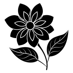 black and white flower isolated