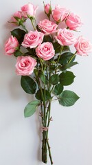 Fototapeta premium Pink roses overhead view full bloom filled white background.
