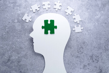 Silhouette of a head with a green puzzle on a gray background. Problems mental health associated with climate change, natural disasters, future of the planet. Eco-Anxiety concept. 