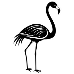 flamingo vector silhouette, Vector black flamingo silhouette, Black silhouette of tropical bird flamingo © Zahid