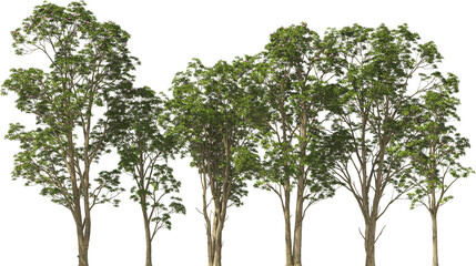 treeline trees rhotodendron hq arch viz cut out plants