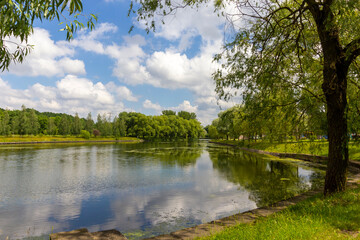 Lake in a European city. Small lake, green grass and trees