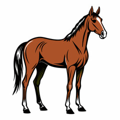 hand drawn thoroughbred horse on white background