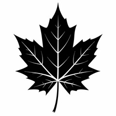  tree vector  illustration