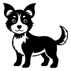 black and white dog