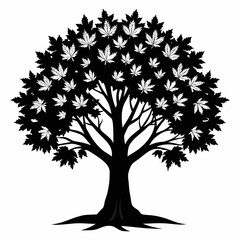  tree vector  illustration