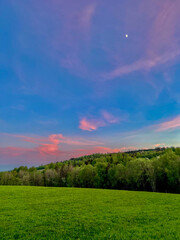 Naklejka premium green field and sky