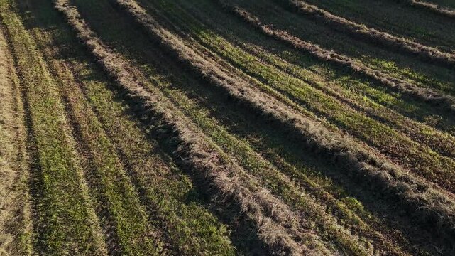 Hay Rake in Sunset, Shadow Play - Flying Dolly of a Field