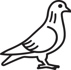 pigeon vector art illustration