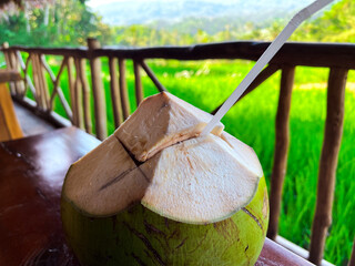 Young coconuts are ready to be eaten with a background of green rice fields