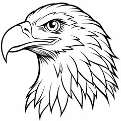 Eagle Head Icon Side View Line Art Vector Illustration