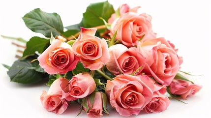 Obraz premium beautiful bouquet of rose flowers isolated on white background 