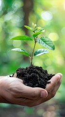 Green Business Philosophy Emphasizing Sustainable Investment Growth and Ecological Development with Environmental Stewardship for Financial Progress