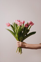 Beautiful pink tulip flowers bouquet in female hand over white background. Aesthetic floral composition with copy space