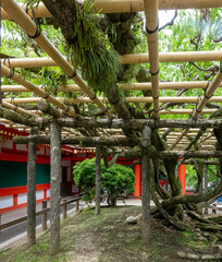 Nara, ancient Japanese capital and a UNESCO World Heritage Site, Honshu, Japan