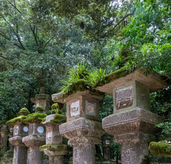 Ancient stone lanterns leading to the Kasuga-taisha shrine (768 CE), Nara, Honshu, Japan