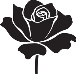 Stylish rose flower vector and illustrator