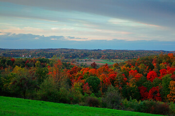 Autumn Colors in Central Ohio