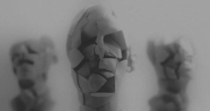 Destroyed mannequin headshell in xray