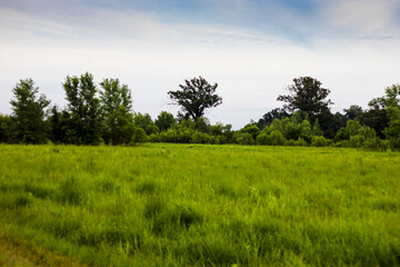 Views at Glacier Ridge Metro Park, Dublin, Ohio