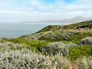 California coast with views on the waters of the bay on the bright day. Bushes and flowers of the West Coast nature in front of the lightly cloud skies. Waves of the Pacific Ocean waters of the bay.