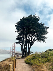 Coastal view of the Golden Gate bridge in San Francisco. American iconic landmark. Cliffs and grass frame the picture. Waves in the bay water. Light fog.