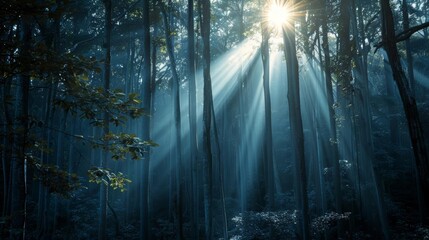Sun rays piercing through a dense blue forest, mystical and enchanting atmosphere, serene and magical scene