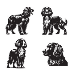 Black and White Gordon Setter Silhouettes, Gordon Setter Silhouette Set  in standing pose isolated ona white background