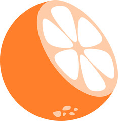 Orange Citrus Fruit Illustration 