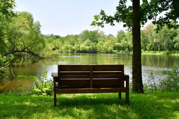 Wooden Bench in a Park