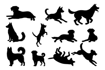 Vector illustration. Set of silhouettes of dogs of different breeds in different poses.