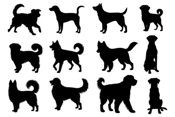 Vector illustration. Set of silhouettes of dogs of different breeds in different poses.