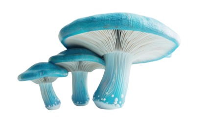 Florescent mushrooms on a transparent background