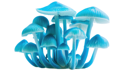 Florescent mushrooms on a transparent background
