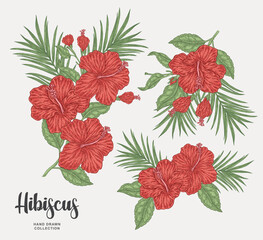 Hibiscus set. Hand drawn Hibiscus rosa-sinensis. Tropical flowers and palm leaves. Vector illustration. Summer design.