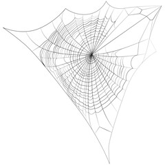 Realistic natural spider web, net. Naturally appearing spider web, mesh Contour lines drawn, drawing