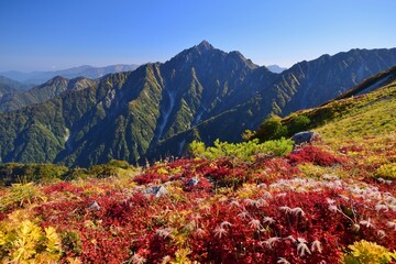 紅葉の大日連峰から望む剱岳