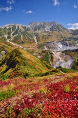 Fototapeta premium 秋の大日連峰 紅葉トレッキング
