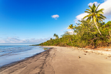 Picturesque tropical coastal sandy beach in Cape Tribulation, Queensland, Australia. Cape Tribulation is within Daintree National Park on Coral Sea.