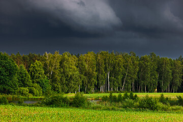 Prze burzą © Robert