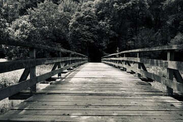 Eine Holzbr&uuml;cke f&uuml;hrt in den Wald 