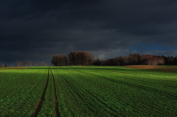 Obraz premium Przedwiośnie na pomorzu