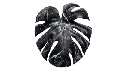 large black leaf on a transparent background