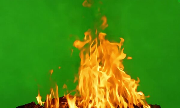A large, intense fire burning with bright, orange flames with a chroma key green background (mov)