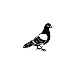 silhouette of a bird bird, animal, vector, illustration, nature, silhouette, birds, wildlife, black, branch, wing, crow, art, design, bullfinch, wild, icon, beak, tree, feather, pigeon, winter, raven,