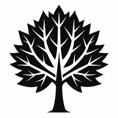 Maple tree silhouette vector