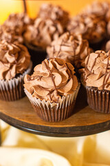 Chocolate cupcakes with chocolate frosting and chocolate swirls lined up