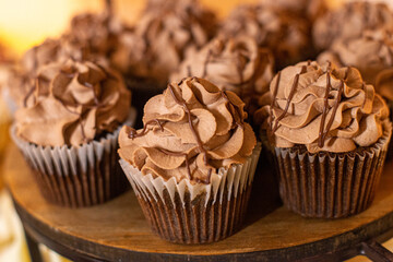 Chocolate cupcakes with chocolate frosting and chocolate swirls lined up